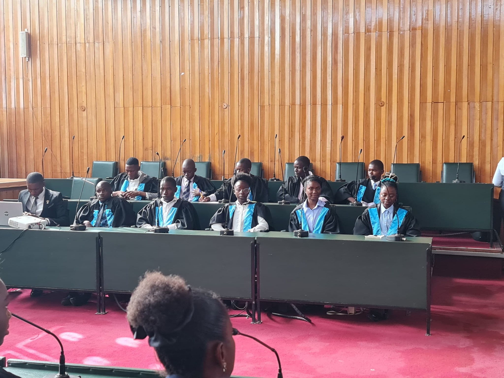 Youth engaging in civic activities