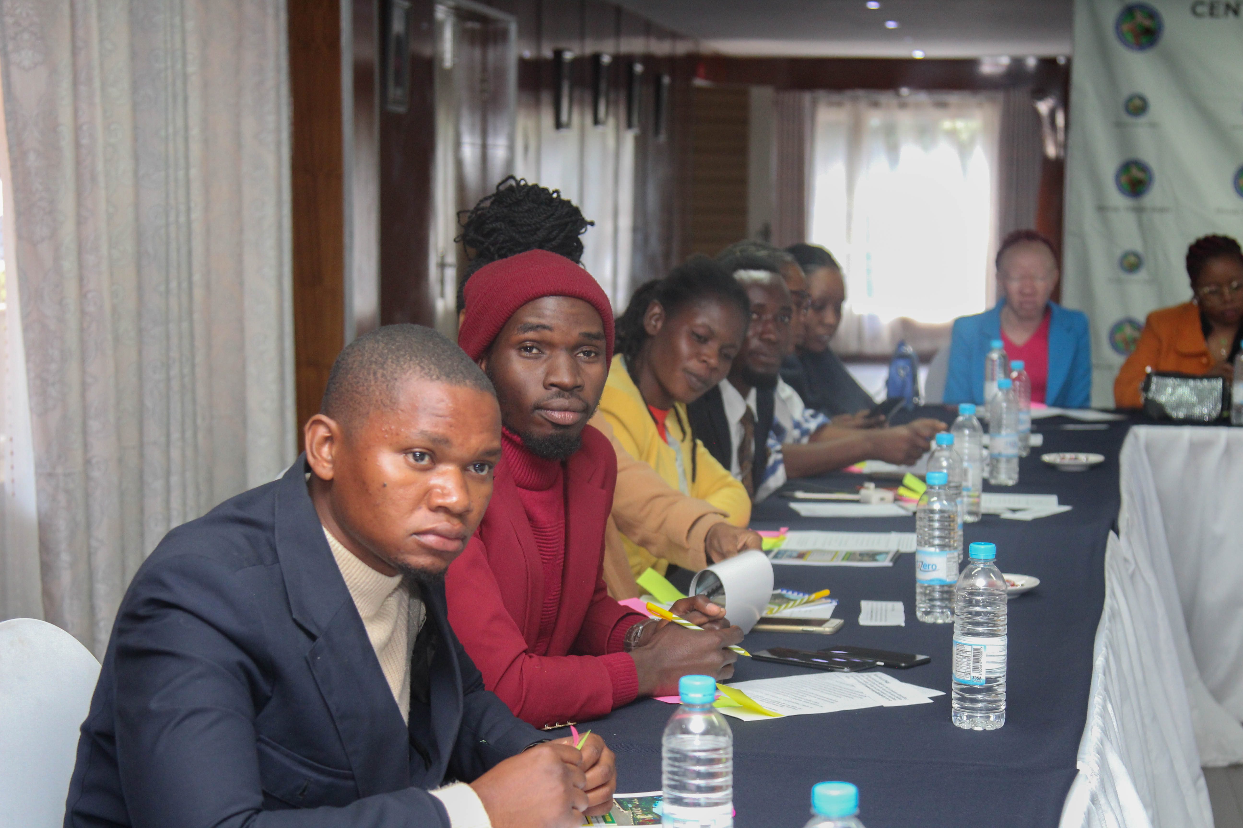 Young leaders at a SADC Youth Network event